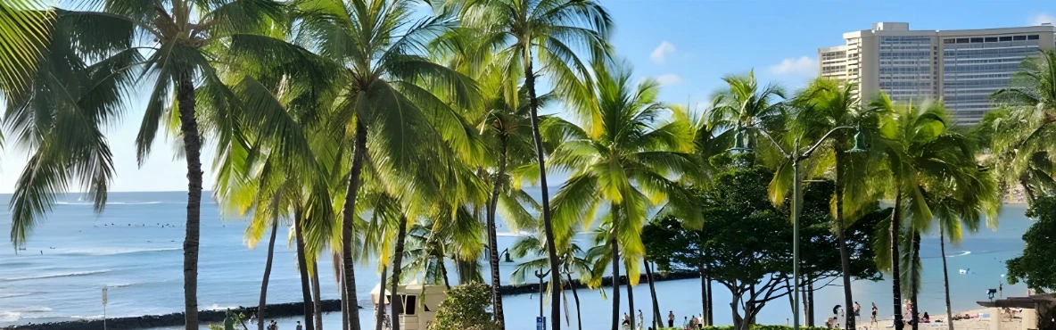 Waikiki in a Day: Best Spots to Swim, Eat, and Watch the Sunset