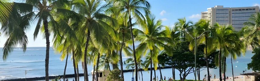 Waikiki in a Day: Best Spots to Swim, Eat, and Watch the Sunset