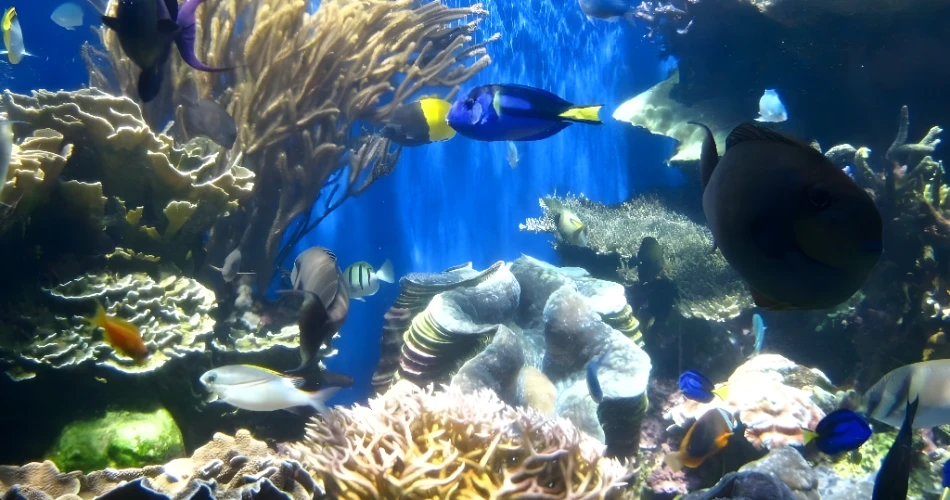 One Day in Waikiki: Best Beaches, Food, and Ocean Views for an Unforgettable Hawaiian Experience