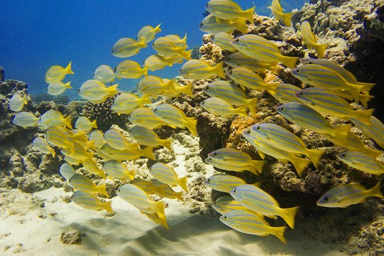 Tour image 9