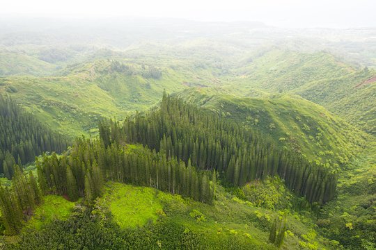 Tour image 8