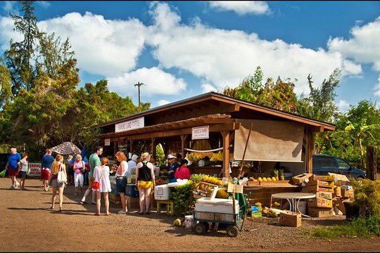 Tour image 6