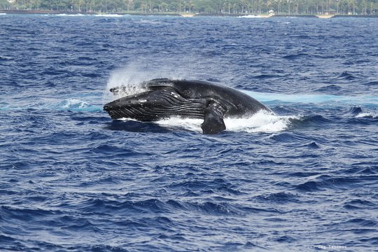 Tour image 5