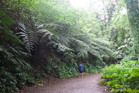 Tour image 5