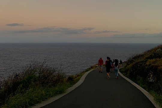 Tour image 11