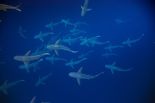 Tour image 5