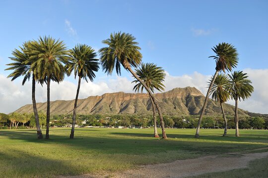 Tour image 6