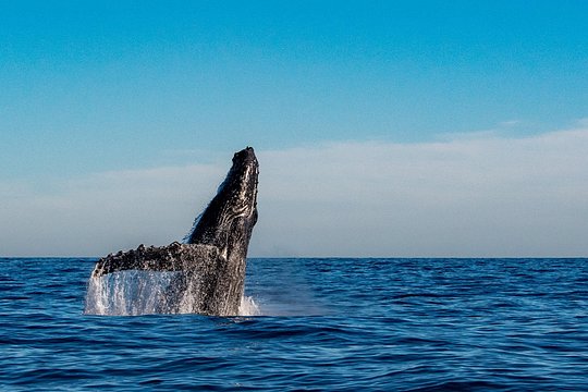 Tour image 8