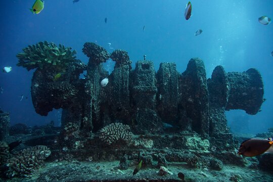 Tour image 7