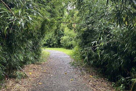 Tour image 4