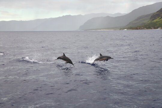 Tour image 3