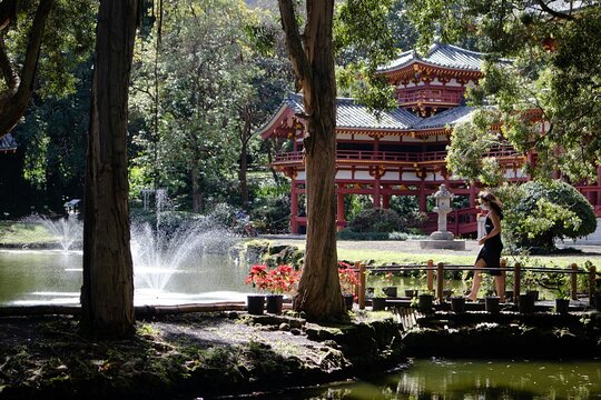 Tour image 11