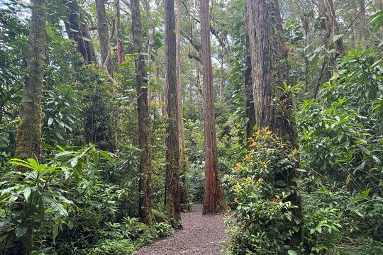 Tour image 5