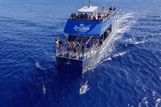 Tour image 5