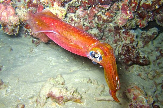 Tour image 6