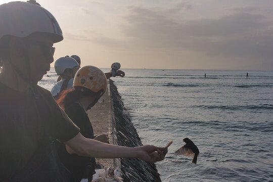 Tour image 5